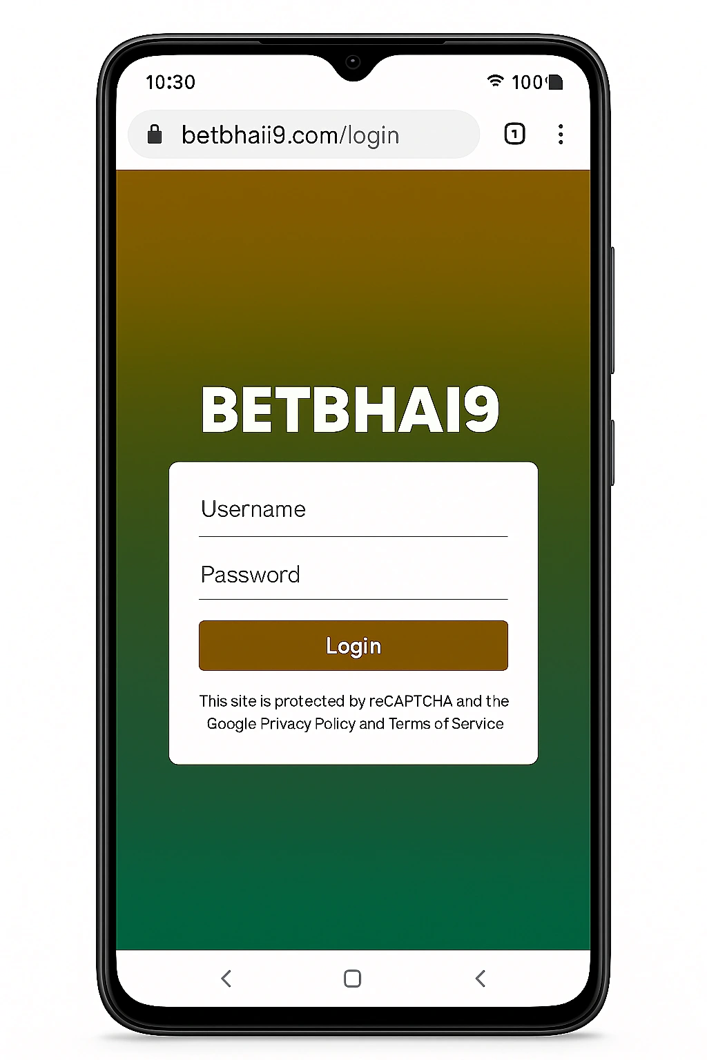 Download Betbhai9 Mobile App